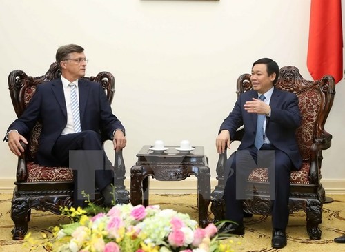 Vietnam welcomes Australian investors, says Deputy PM  - ảnh 1